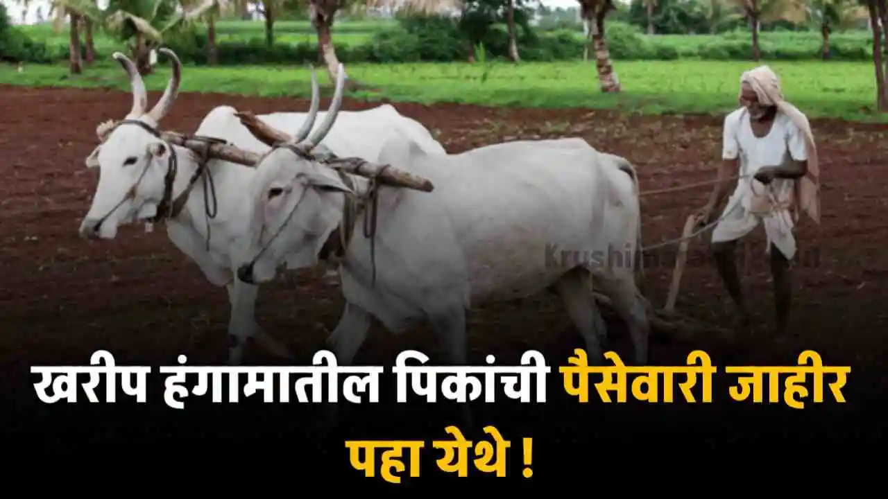 Kharif Paisewari